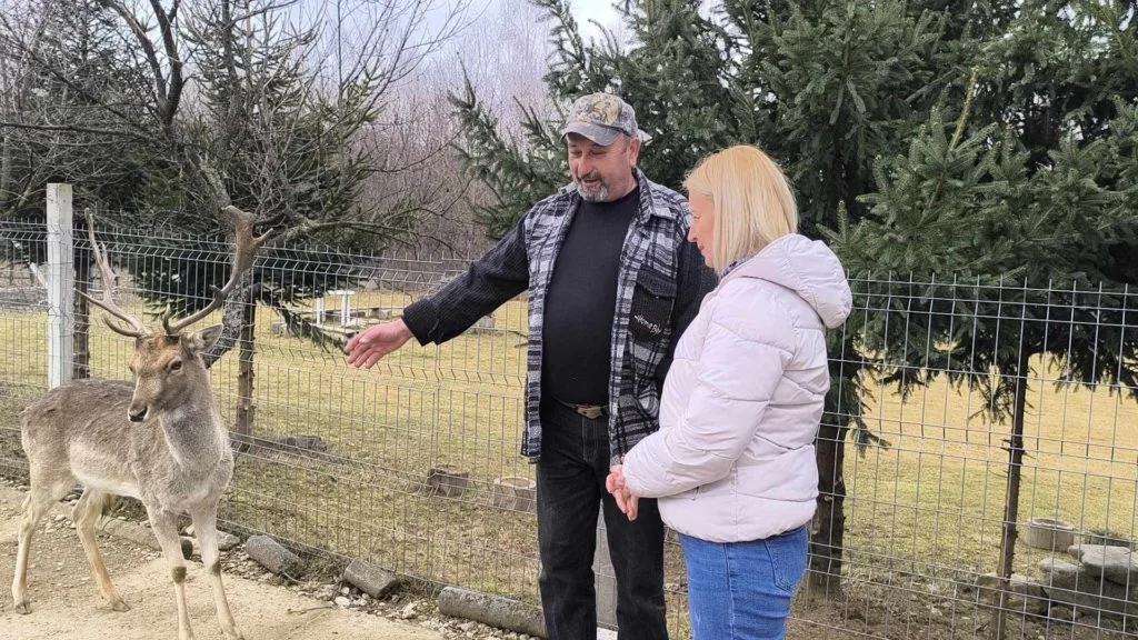 Badicu-3-1024x576 Badicu-3-1024x576