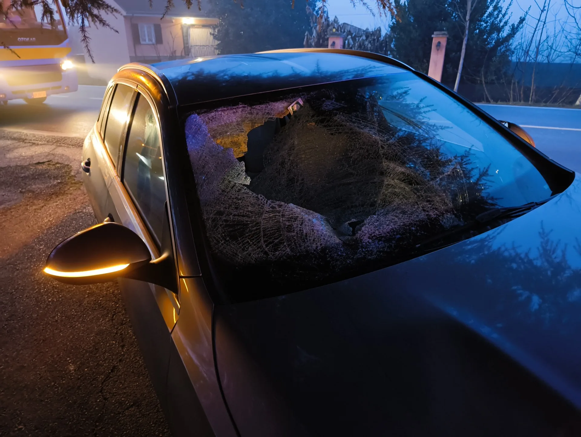 IMG_20260116_074237756