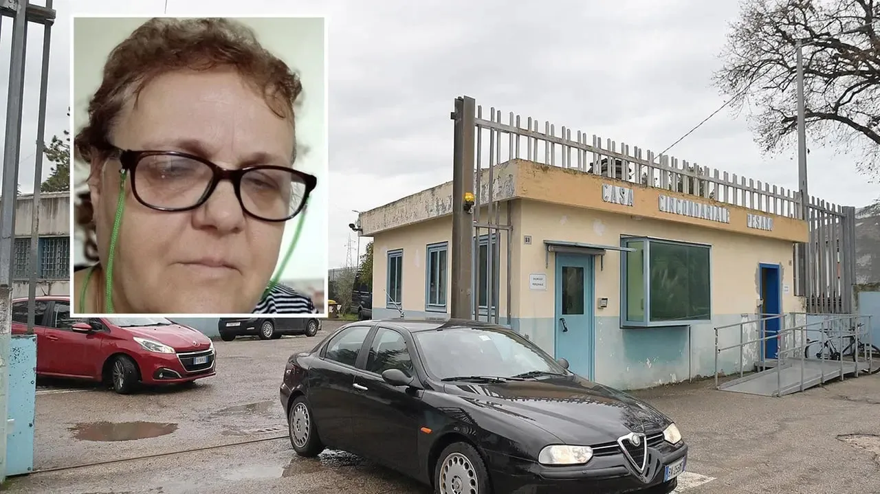 photo_2026-01-29_19-55-33 photo_2026-01-29_19-55-33