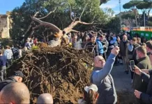 Pin prăbușit în Italia, un român și alte două persoane au fost rănite 1200-20260201143059 (1)