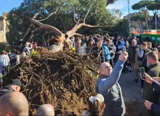 Pin prăbușit în Italia, un român și alte două persoane au fost rănite 1200-20260201143059 (1)