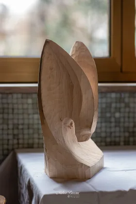 senza titolo (276 di 532)