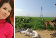 Româncă dispărută în Italia: haina pe care o purta în ziua dispariției, găsită sub un pod 1