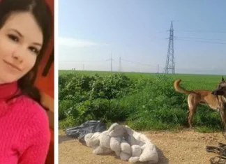 Româncă dispărută în Italia: haina pe care o purta în ziua dispariției, găsită sub un pod 1