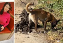 Dispariția româncei de 21 de ani din Italia: anchetatorii urmăresc doi bărbați cu care a intrat în contact înainte să dispară 1