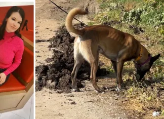 Dispariția româncei de 21 de ani din Italia: anchetatorii urmăresc doi bărbați cu care a intrat în contact înainte să dispară 1