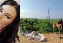 Elena, tânăra româncă dispărută în Italia: autoritățile italiene au extins ancheta și în România 1