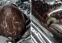 Alertă în Italia după ce s-au găsit viermi în ouă de ciocolată de Paște. Descoperirea a fost făcute de niște elevi 1