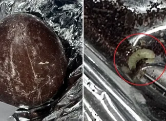 Alertă în Italia după ce s-au găsit viermi în ouă de ciocolată de Paște. Descoperirea a fost făcute de niște elevi 1
