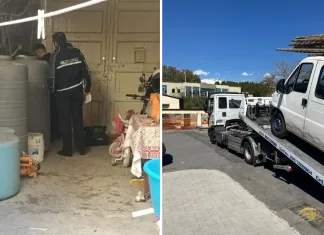 Familie de români din Italia, amendată cu 10.000 de euro după ce agenții de poliție au verificat casa în care locuia. Neregulile descoperite de agenți 1