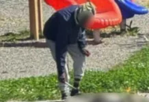Scene revoltătoare într-un parc pentru copii din Italia: un bărbat a ucis o pisică și a încercat să o gătească la grătar 1