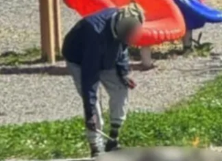 Scene revoltătoare într-un parc pentru copii din Italia: un bărbat a ucis o pisică și a încercat să o gătească la grătar 1