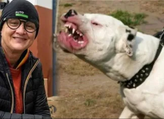 Moarte cumplită în Italia: Femeie sfâșiată de o haită de câini. O simplă plimbare s-a transformat într-o tragedie 1200-20260426123757 (2)