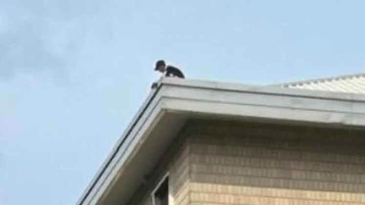 170436635-b761b603-7d3c-487a-ae30-c1b2fe981ae7