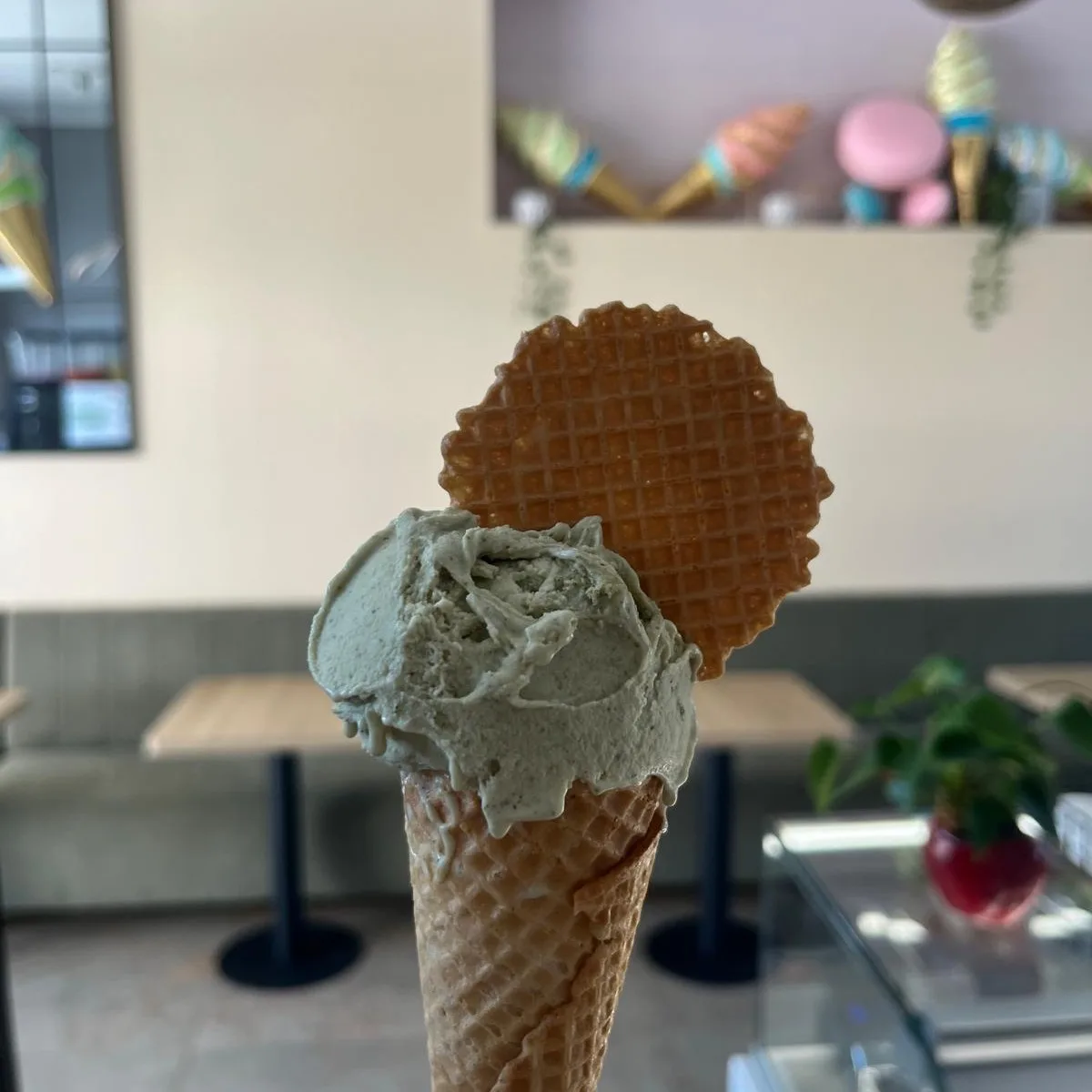 536275601_122220066266251662_8329809781742774085_n