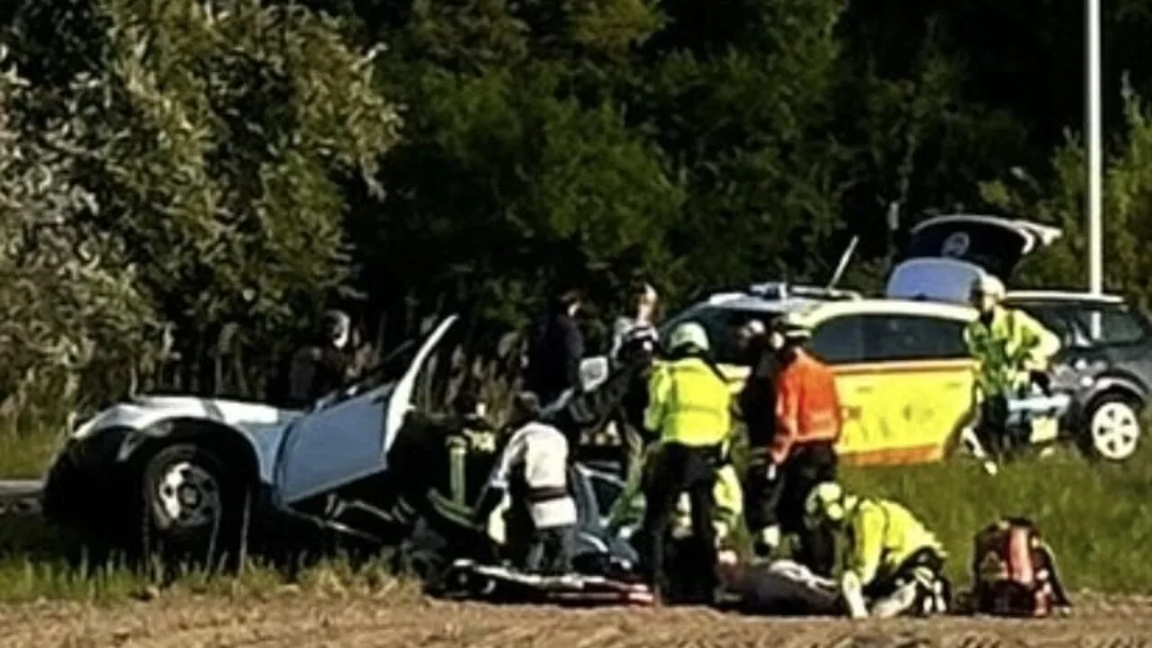 c93f8dc5-0568-48a8-9714-cd5b414f8f38