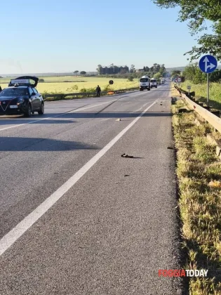 incidente stradale ss16-5