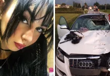 Tânără româncă, ucisă de un șofer beat și drogat în Italia. Pedeapsa primită de bărbatul italian care circula cu 158 km/h 1