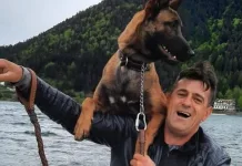 Tragedie pentru un muncitor român din Italia, ucis de un copac la locul de muncă 1