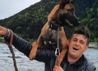 Tragedie pentru un muncitor român din Italia, ucis de un copac la locul de muncă 1