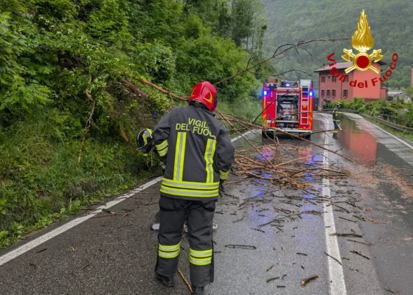 Berzo Demo, pompieri in azione per un albero caduto sulla Ss42-2