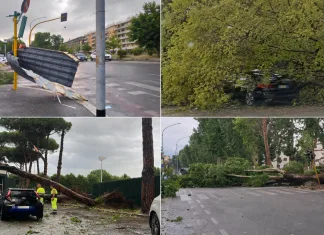Tornadă puternică în Italia: 60 de copaci doborâți, mașini avariate, străzi închise și numeroase echipaje de pompieri mobilizate 1