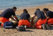 Român mort în Italia, sub privirea îngrozită a soției. S-a simțit rău în timp ce se scălda în mare 1