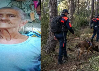 Românca de 77 de ani dispărută de trei zile în Italia, găsită în viață într-o pădure. Era epuizată și deshidratată 1