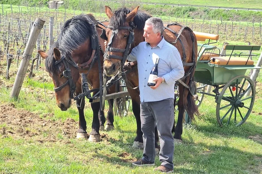 Crama-La-Sapata-Delta-Dunarii-Roberto-Pieroni Crama-La-Sapata-Delta-Dunarii-Roberto-Pieroni
