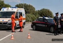 Accident mortal în Italia: un român și-a pierdut viața după ciocnirea dintre un camion și o autoutilitară 1