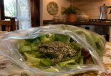 O femeie din Italia a găsit o broască râioasă vie în punga de salată cumpărată de la supermarket c16ab521-ccc3-4c26-96d0-579916202d68