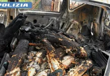 Mașină arsă complet în Italia, pe marginea drumului. Polițiștii au descoperit un act românesc fals și pește carbonizat 1