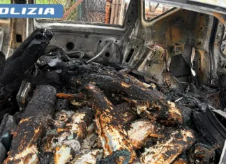 Mașină arsă complet în Italia, pe marginea drumului. Polițiștii au descoperit un act românesc fals și pește carbonizat 1