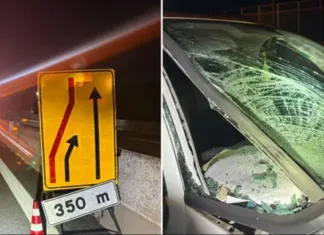 Moarte cumplită în Italia pentru un muncitor moldovean, ucis la locul de muncă de un șofer beat 1200-2026092713195 (1)