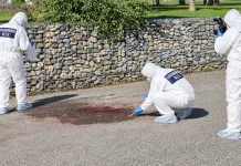 Român acuzat în Italia că a ucis un tânăr de 19 ani într-un parc. Polițiștii l-au găsit acasă 1