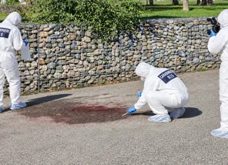 Român acuzat în Italia că a ucis un tânăr de 19 ani într-un parc. Polițiștii l-au găsit acasă 1