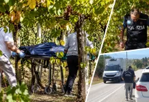 Româncă din Italia, găsită spânzurată de un măslin. Dispăruse dintr-o parcare de pe autostradă în timp ce călătorea cu partenerul de viață f55b05e0-655f-4799-af2d-353005491076
