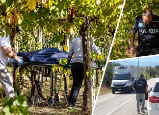 Româncă din Italia, găsită spânzurată de un măslin. Dispăruse dintr-o parcare de pe autostradă în timp ce călătorea cu partenerul de viață f55b05e0-655f-4799-af2d-353005491076